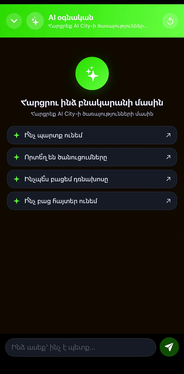 Արեգա · AI Co-Pilot — AI City · iOS